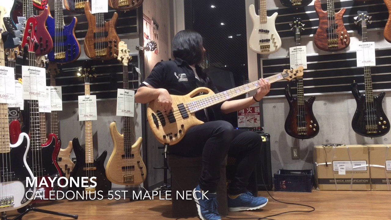mayones be5 exotic 5弦ベース（エレキベース総合案内”日本トップ 