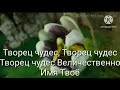 № 837 Исцеление от выпадения волос Нины из Белорусь