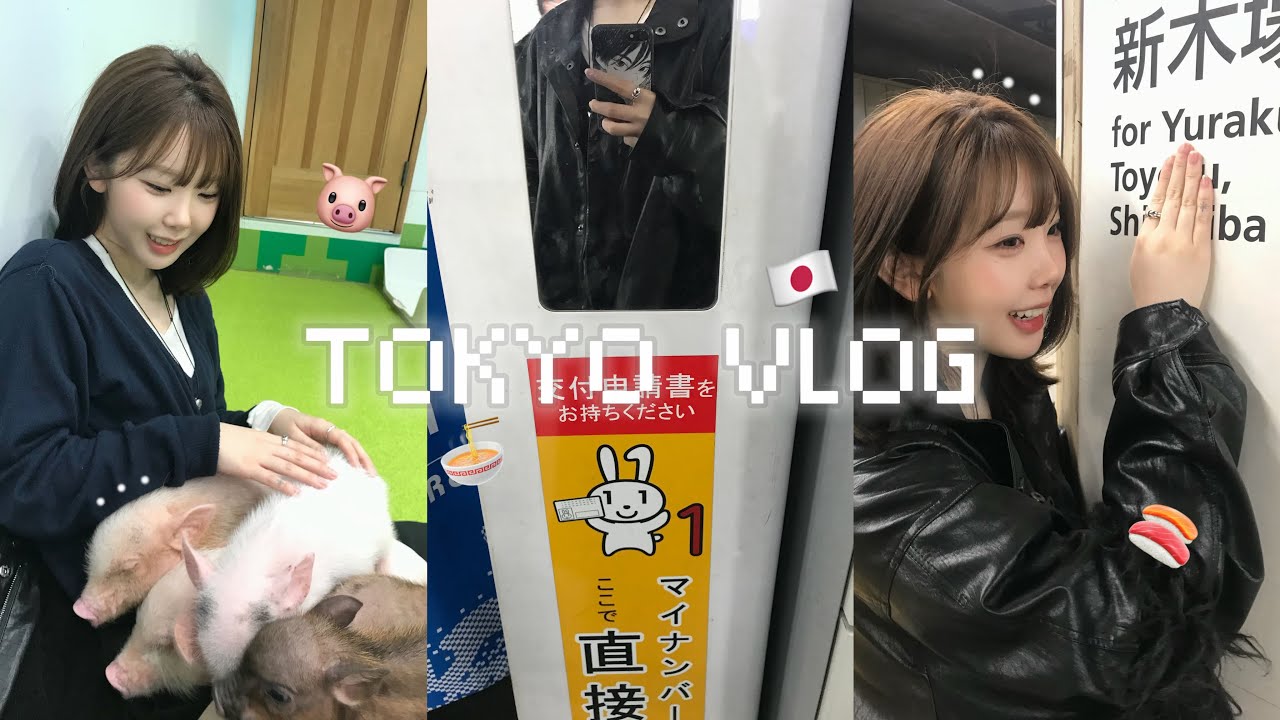 개강 전 마지막 도쿄 3박4일 브이로그