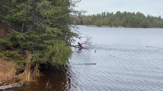 WATER SKIP M8 Fail Or Cross !