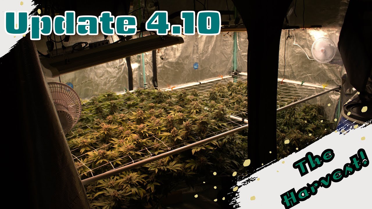 Update 4.10 | Fuel D OG Harvest!
