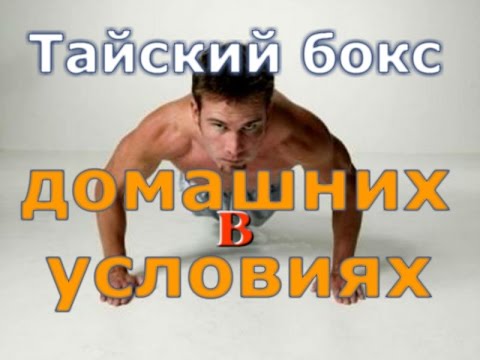 Тренировка кикбоксера в домашних условиях Тренировка кикбоксера в домашних условиях
