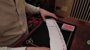 A.C.A.A.N Of The SAMURAI by Joseph B. (Unpublished)