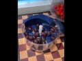 Video Image