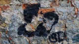 Yeryüzü Aşkın Yüzü Oluncaya Dek Adnan Yücel Yorum Selah Özakın