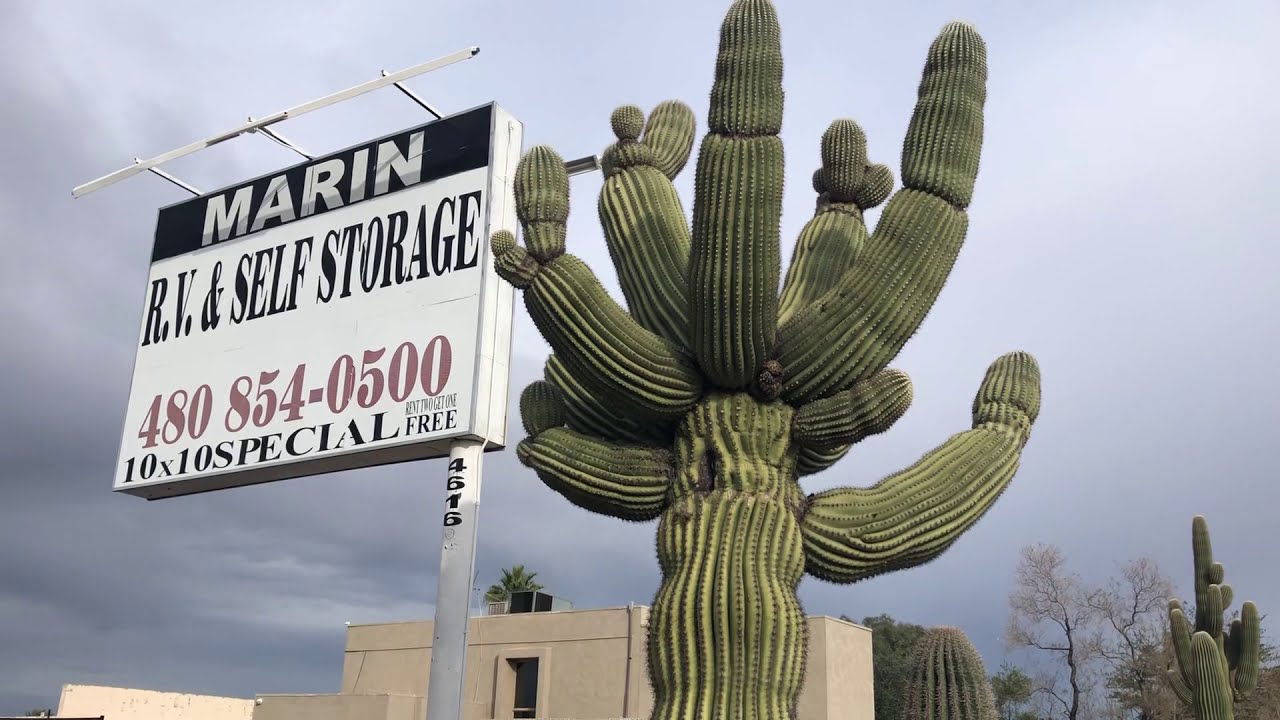 Saguaro Of The Day Odd Arm Endings At Marin Rv Self Storage In Mesa Az Youtube Saguaro Of The Day Odd Arm Endings At Marin Rv Self Storage In Mesa Az Youtube