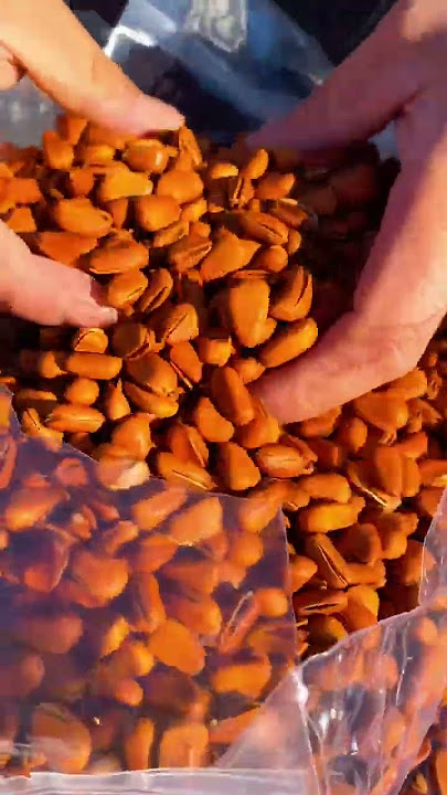 Download lagu #remix #party #music #dj #funny #newmusic #æįŽ #chinesedancer