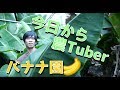 農チューバーはじめます！【稲沢バナナ園】
