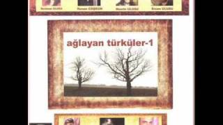 Aglayan Türküler Gurbet Desen Ne Olur 2009 Resimi