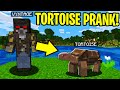 TROLLING AS A TORTOISE IN MINECRAFT!