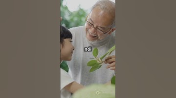 Câu chuyện: Chiếc Cốc Nứt và Bài Học Cuộc Sống !