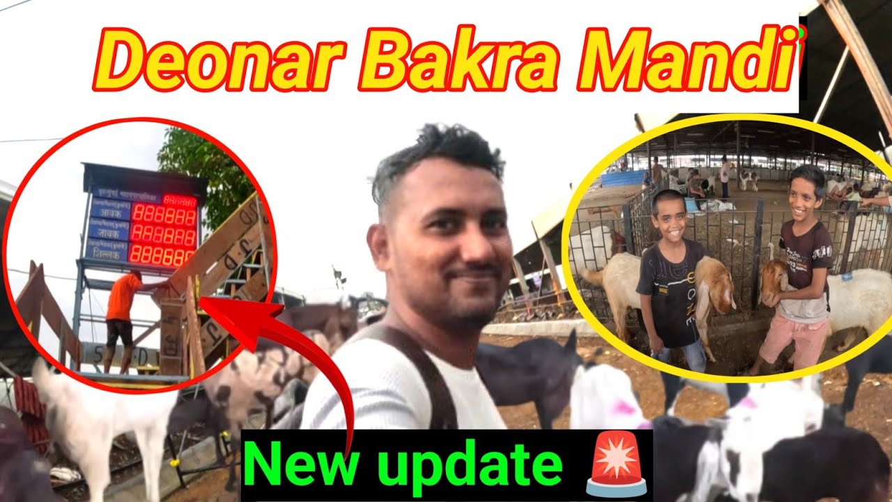 New update 🚨 Govandi Deonar Bakra Mandi 2025 - YouTube