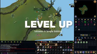 Temple Trekking NPC Leveling Guide in Runescape 3 screenshot 2