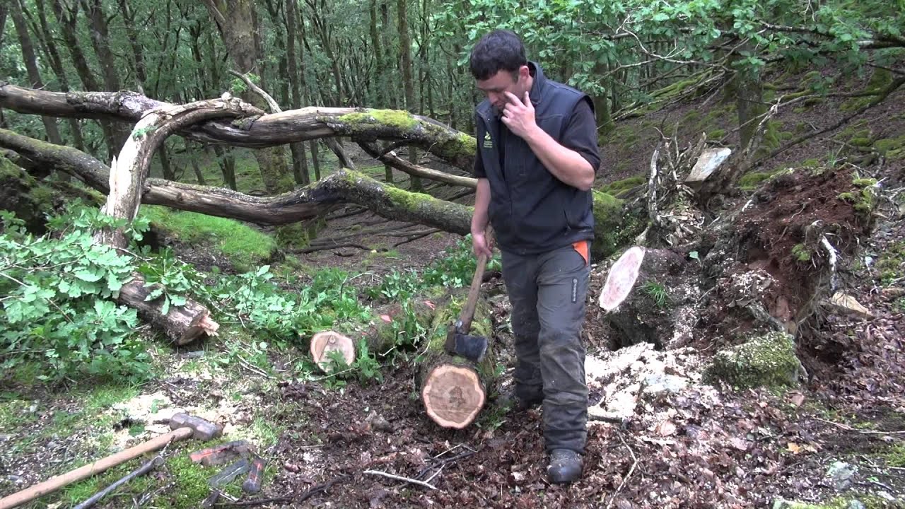 Dolmelynllyn Summer YouTube