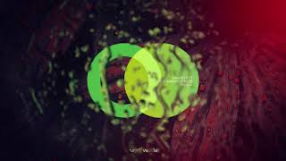 Luca Belotti - A New Beginning // AREA VERDE