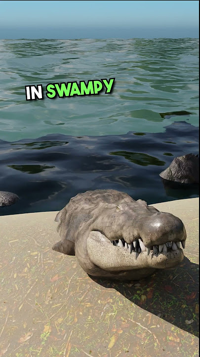 WHY ARE Crocodiles Green? 🐊