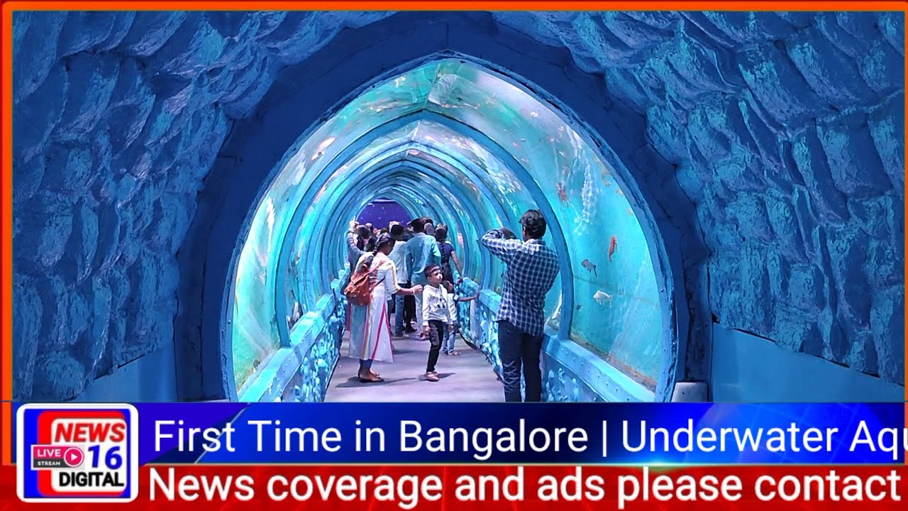 Tunnel Aquarium in Bangalore First time Exhibition Near JP Nagar