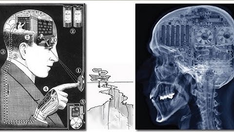 Teleology: Making Sense of Self and the World