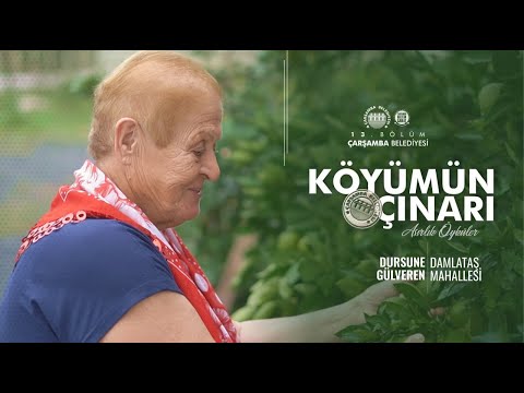 Çarşamba Belediyesi