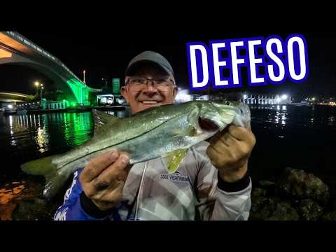 Miniatura do vídeo: COMEÇOU o DEFESO da Laguna DE ARARUAMA! Pescaria no Canal de Cabo Frio