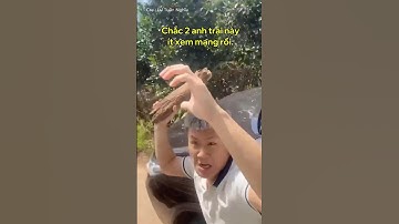 Chắc hai anh này ít xem mạng rồi  #shortvideo #giaothong #tinhhuonggiaothong