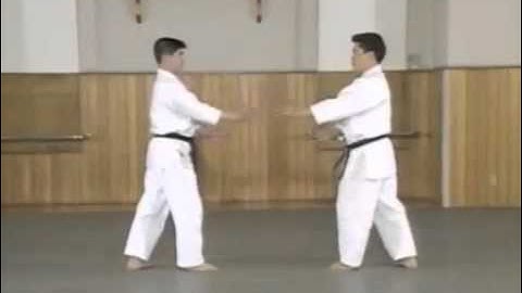 3 Yokomen Uchi Shiho Nage 2