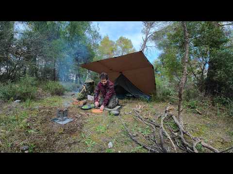 Solo Camping, Bushcraft, Gathering and Use Fatwood, Cooking on the Firebox Freestyle Modular Stove!