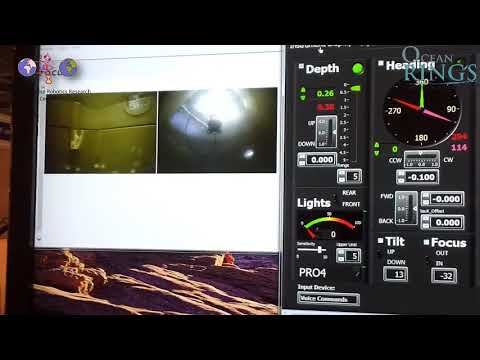 Real Time Control Using Voice Commands 1