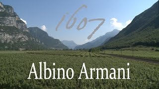 Albino Armani 1607
