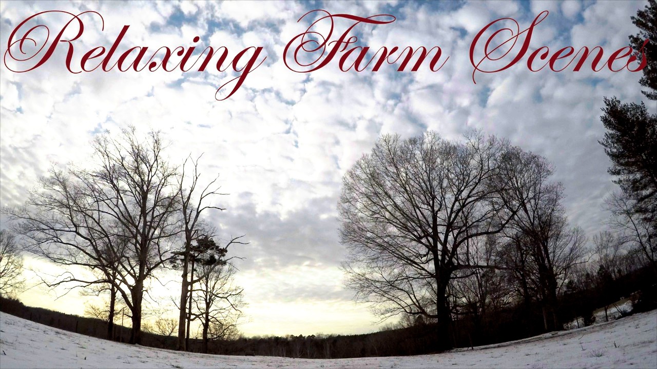 Relaxing Farm Scenes set to Classical music (time lapse and drone footage) #122