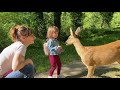 Ref:f9fsjHSZBNA Dordogne : la rencontre d'une petite fille et d'une chevrette