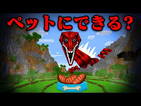 『生きている臓器』はペットとして飼える？【まいくら・マインクラフト】