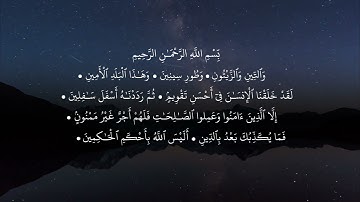 سورة التين من القران الكريم بصوت القارئ محمد البراك بروايه حفص عن عاصم