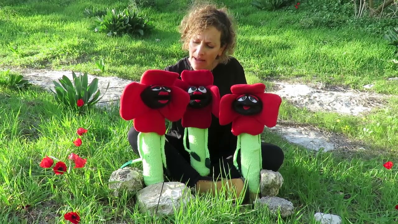 האגדה על הכלנית הנורית והפרג אגדות צמחים לילדים עם שרית ברנס מדריכת הטיולים