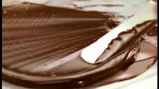 Pepperidge Farm "Chocolate"