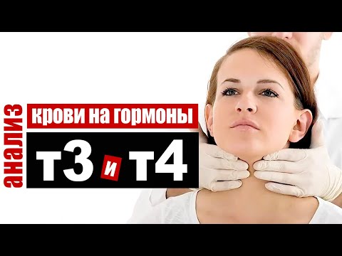 Video: Analiza Hormona štitnjače (norme Hormona TSH I T4)