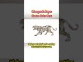 Corrugated Carton & Color Box Sourcing | High‑Speed Printing & Multi‑Flute Options 📦⚡