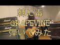 棘に毒/GRAPEVINE【Guitar Cover】