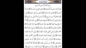 سورة الغاشية للفقيد البراء السويد