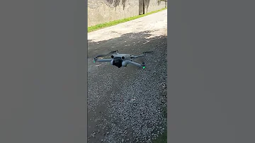 هلی شات و زنبور بدبخت The Drone And The Unlucky Bee 