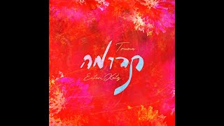 Eitan Katz New Album Sampler  - Truma