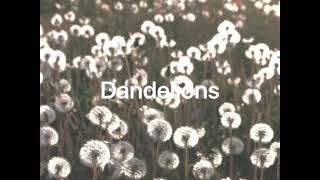 Dandelions - Ruth B. ( slowed to perfection + reverb ) // tik tok edit song