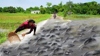 Really Catching &amp; Catfish on the Road Flooded - OMG! Fisherman Fishing A lot Fish Crossing Road