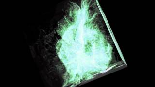 Evolving (relaxed) galaxy cluster: time evolution of 3d vorticity