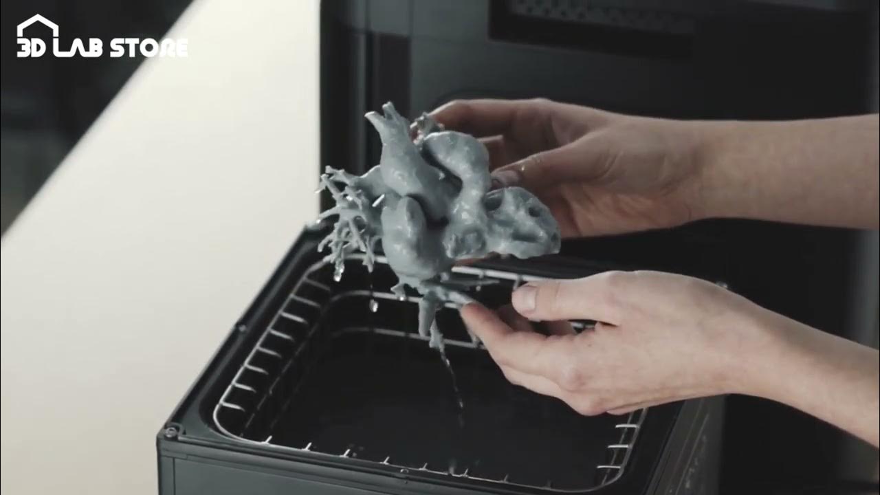 How to 3D Print PVA Filaments with ABS on Zortrax Inventure 丨 3D Lab