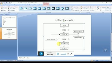 Defect life cycle and management