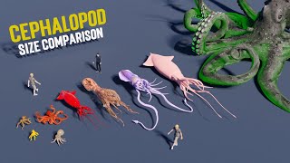Monster Cephalopod Size Comparison Octopus 3D Size Comparison | DataPlayz