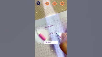 Lớp 1,2,3..trở lên chọn bút S206 ngòi kim tinh êm trơn, viết bài cực mượt #butmucsaothien