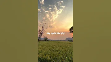 رفيقة غيم وزهر ولطف اناشيد اسلامية اناشيد بدون موسيقى 