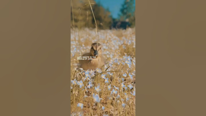 дивіться до кінця 😍🥰
